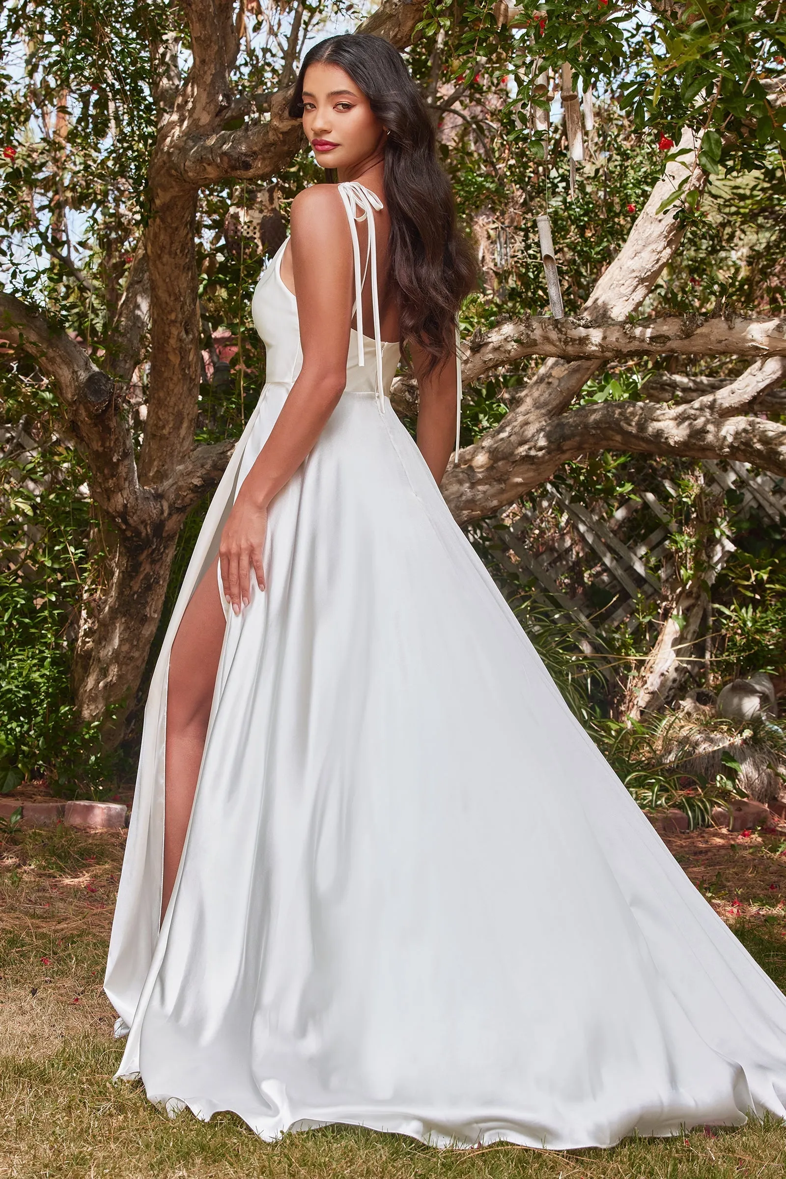 Cinderella Divine  BD104W Dress