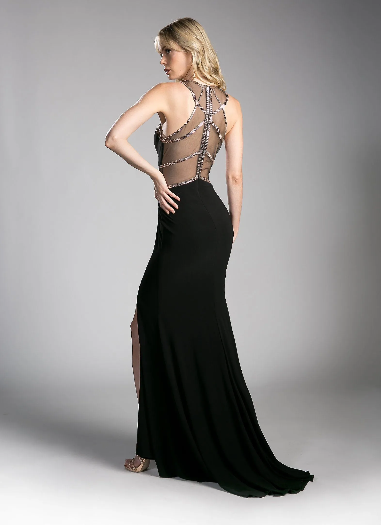 Cinderella Divine CD0115 Dress