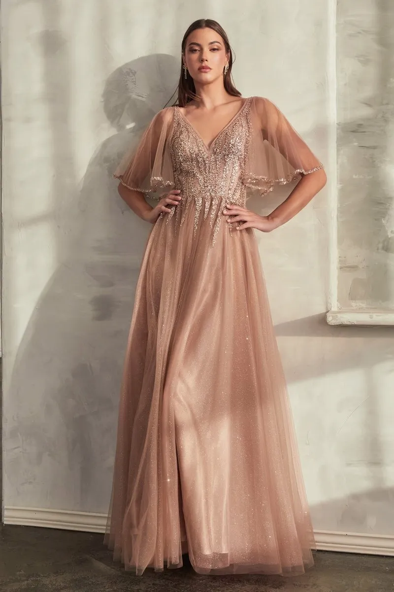 Cinderella Divine  CD0175 Dress