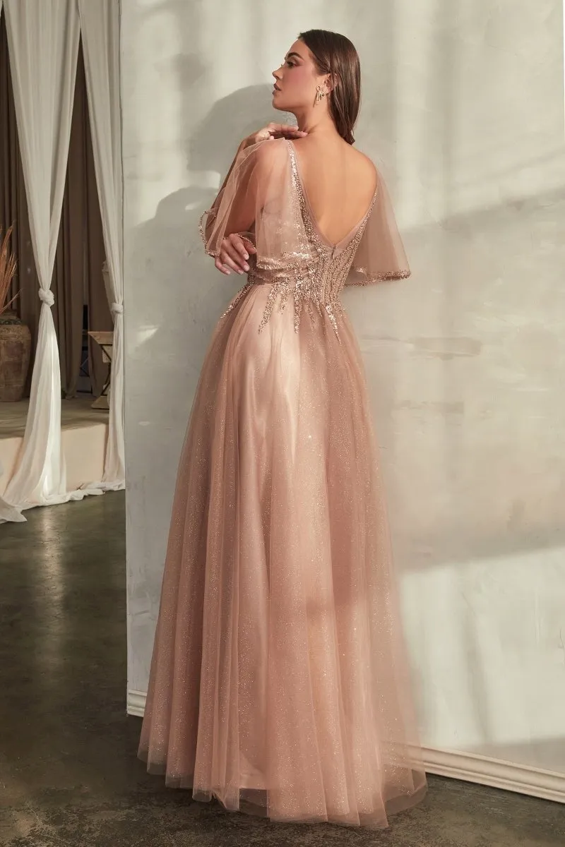 Cinderella Divine  CD0175 Dress