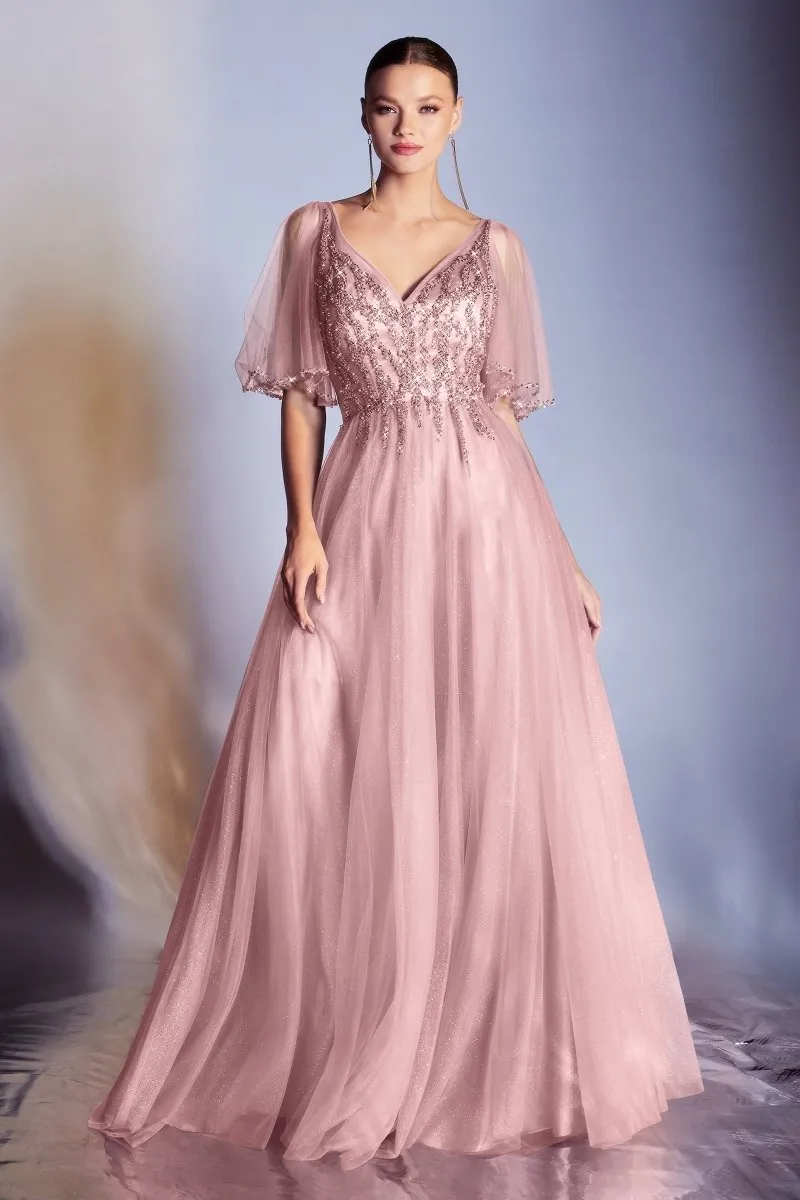 Cinderella Divine  CD0175 Dress
