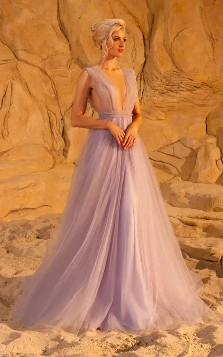 Plunged Chiffon Cap Empire Pleated A-line Prom Dress with Bow and Low-v Back