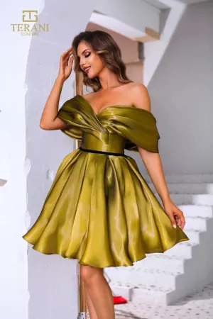 Terani 251C4045 Dress